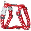 Red Dingo Style Moles Hundegeschirr