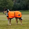 Weatherbeeta Comfitec Reflective 300D Deluxe Showerproof Dog Coat - Gr...