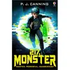 Usborne Publishing, Kinderbücher, Canning:21% Monster (Englisch, P.J. ...