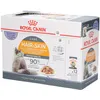 Royal Canin Intense Beauty Nassfutter für Katzen 1020 g