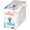 Royal Canin Katzenfutter Vet Feline Skin Coat Box 12x85g