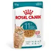 Royal Canin Ageing 11+ Gravy Senior 12x85g Nassfutter Für Katzen