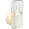 Globo Lighting Außenleuchte Edelstahl weiß, Kunststoff klar, IP44, BxH...