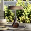 EGLO LED-Akku-Tischlampe TURCIO, bronze, Höhe 20 cm IP44 dim