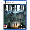 THQ Nordic Alone in the Dark, PS5/Xbox Series X/Series S, M (Reif)