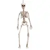 Mom Skelett 120 Cm