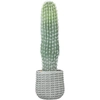 HOMCOM Künstlicher Kaktus 66 cm, dekorative Kunstpflanze mit Topf für ...