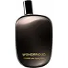 Comme Des Garcons Wonderoud 100ml, Unisex, 100 ml, Nicht nachfüllbare ...