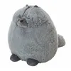 Creaciones Llopis Gordi Kuschelkatze Sortiert 34 Cm