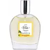 FRUIT TEA COLLECTION VANILLA edt vapo 100 ml