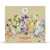 Frischwasserblumen Discovery Box 5 Stü ck