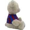 Cyp Fc Barcelona Teddybär 35 Cm Mehrfarbig  Kinder Mehrfarbig One Size