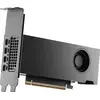 NVIDIA RTX PRO 2000 Blackwell Bulk - Grafikkarte - PCI
