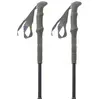 Pinguin Carbon Fl Foam Stöcke One Size