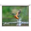 Aveli Electric projection screen, 305x229 (4:3) (150", 4:3), Leinwand,...