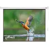 Aveli Electric projection screen, 366x275 (4:3) (180", 4:3), Leinwand,...