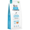 Brit Care, Welpe, jede Rasse, Groß (26-44 kg), Kartoffel, Lachs, 12 kg