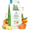 Brit 8595602558896, Adult, Mittelgroß (11-25 kg), Kartoffel, Lachs, 12...