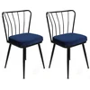 Homitis Skye Decor, Y ld z-944 V2, Stuhlset (2 Stück), Dunkelblau, 100...