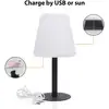 LED-Solartischleuchte OSL-50012 Akku und USB-Kabel