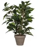 Kunstpflanze Mica Kunstpflanze Ficus Natasja grün im Topf 40 x, Mica D...