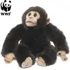 WWF - Plüschtier - Schimpanse (23cm) lebensecht Kuscheltier Stofftier ...