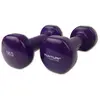Tunturi Dumme Schallplatte 1kg 2 Einheiten 1 kg