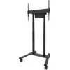 Neomounts MOVE Lift FL55-87BL1 motorisierter Bodenständer Schwarz
