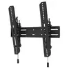 Neomounts Wl35s-850bl14 65´´ Tv-ständer