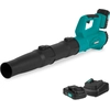 Axial leaf blower 20V - 2x 2.0Ah battery and charger