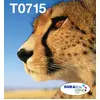Epson Multipack 4-colours T071 EasyMail, Standardertrag, Schwarz, Cyan...