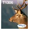 Epson Stag T1306 Hirsch DURABrite Ultra Multipack 3 Farben EasyMail Ti...
