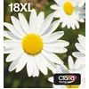 Epson Daisy 18XL Gänseblume Claria Home Multipack 4 Farben EasyMail Ti...