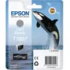 Epson Original T7607 Druckerpatrone Light Black 25,9ml (C13T76074010)