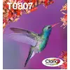 Epson Hummingbird 6-Farb-Multipack T0807 Claria Photographic Ink EasyM...