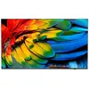 Philips MediaSuite 58HFL6214U/12 Professional TV 146 cm (58")