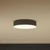 Philips Hue Enrave LED-Deckenlampe 26,1cm schwarz
