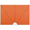 vidaXL Faltbarer Terrassen-Seitenfächer Terracotta-Rot 240×160 cm