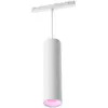 Philips Hue, Pendelleuchte, Perifo (510 lm)
