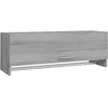 vidaXL, Kleiderschrank, Kawonas (100 x 32.50 x 35 cm)