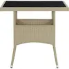 vidaXL 5-tlg. Garten-Essgruppe Poly Rattan und Glas Beige