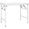 vidaXL, Werkbank + Arbeitsbock, Braden (60 cm, 100 cm)