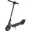 Ninebot by Segway KickScooter F2 Plus D, Klassischer Roller, Schwarz, ...