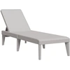 vidaXL Sonnenliege Grau 186x60x29 cm PP
