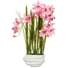 Mica Decorations Cymbidium Orquidea Barco Rosa Künstliche Pflanze