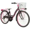 Adriatica Ctb 24´´ 6s Fahrrad One Size