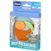 Chicco Massaggia Fresh Animal 1 ct