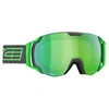 Skibrille Salice 619DARWF Grün TU