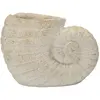 Vase Mauro Ferretti Shell A 33x19x23 cm