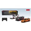 Rastar 1:24 RC car model Porsche GT3 RC, 39900